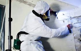 Reduce Exposure Risks by Getting Asbestos Testing Done